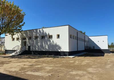 nenitescu (3)